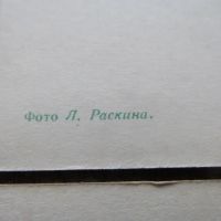 Лот: 21334781. Фото: 7. Открытка С Новым годом! 1970 суровая...