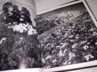 Лот: 18035091. Фото: 11. Собровин Виталий. Строкою Пушкина...
