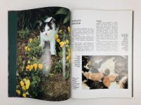 Лот: 23293396. Фото: 3. Котята. Шнек М. 1995 г. Литература, книги