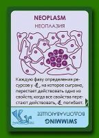 Лот: 11362874. Фото: 7. Настольная игра Эволюция. Континенты...