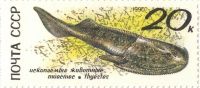 Лот: 8529523. Фото: 2. 1990 6243 Ископаемые Животные... Коллекционирование, моделизм