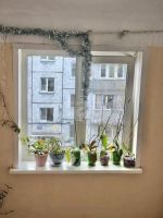 Лот: 25884294. Фото: 6. 1-комн. квартира , Красноярск...