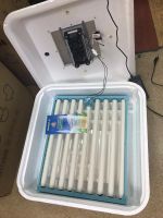 Лот: 16013600. Фото: 10. Инкубатор для яиц программируемый...