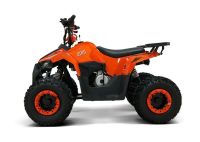 Лот: 25659268. Фото: 3. Квадроцикл ATV Giro. Авто, мото, водный транспорт