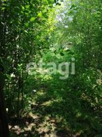 Лот: 25296015. Фото: 15. 2-комн. дача , СНТ Ветеран-3 СНТ...