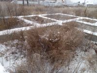 Лот: 6266531. Фото: 5. ДНТ"Есаульский бор" 2-фунд.(Дом...