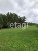 Лот: 25294822. Фото: 9. участок , ДНТ Чёрная Сопка ДНТ...