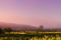 Лот: 3093058. Фото: 6. Nikon 35mm f/1.4G AF-S Nikkor