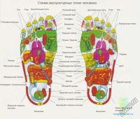 Лот: 4682341. Фото: 2. Массажные тапочки на пластиковой... Массаж