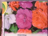 Лот: 2736724. Фото: 2. Бальзамин Том Тамб. Комнатные растения и уход