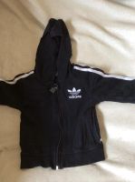 Лот: 5402479. Фото: 3. adidas костюм. Дети растут