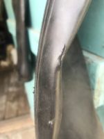 Лот: 19102838. Фото: 2. Сапоги рыбацкие. Одежда, обувь, галантерея