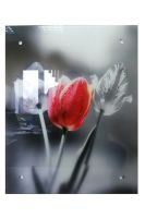 Лот: 10438336. Фото: 2. Картина на стекле. Картины, панно