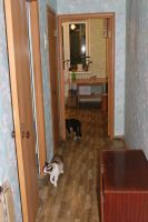 Лот: 16133815. Фото: 6. Продам 1 комн. квартиру. Новой...
