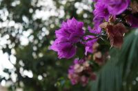 Лот: 10200843. Фото: 5. Sony Alpha A3000 ilce 3000 + Carl...