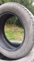 Лот: 20870122. Фото: 2. Nokian Tyres Nordman 5 205/55... Шины, Диски