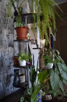 Лот: 5740842. Фото: 3. подставка под цветы. Красноярск