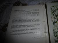 Лот: 10990607. Фото: 2. Набор цветных открыток «Удивительные... Открытки, билеты и др.