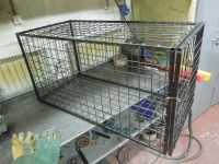 Лот: 11285429. Фото: 2. Клетка для животных (собак, кошек... Растения и животные