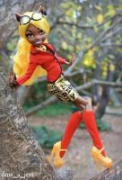 Лот: 5061781. Фото: 6. Кукла Monster High Монстр хай...