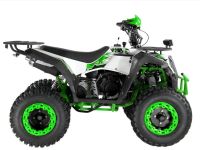 Лот: 25659407. Фото: 5. Квадроцикл WELS Thunder Evo 200
