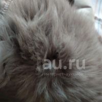 Лот: 18940636. Фото: 6. Пуховик натуральный полностью...