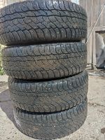 Лот: 20737039. Фото: 5. Шины Viatti Bosco Nordico