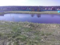 Лот: 9278466. Фото: 4. Участок в днт, Есаульский бор. Красноярск