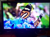 Лот: 11489985. Фото: 2. Led монитор DNS H230 FullHD динамики... Мониторы, проекторы