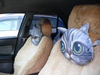 Лот: 6644252. Фото: 7. подушка