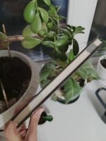 Лот: 25778219. Фото: 5. Автограф! Евгений Попов - Душа...