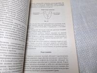 Лот: 21579332. Фото: 7. оз...(4092329) Секлитова, Л.А...