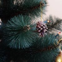 Лот: 3532961. Фото: 2. Искусственный кедр 200 см. Бесплатная... Новый год!