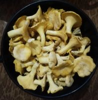 Лот: 4361685. Фото: 2. Лисички 12л. Сбор 06.08. Продукты