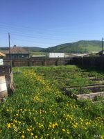 Лот: 9756294. Фото: 2. Продам дом. с. Маганск Березовского... Продажа