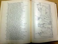 Лот: 16913478. Фото: 15. Гомер. Поэмы Гомера * Илиада и...