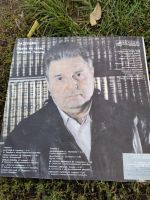 Лот: 19439301. Фото: 2. Виниловые грампластинки Михаил... Коллекционирование, моделизм