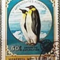 Лот: 12987986. Фото: 7. Марки Монголия. Фауна. Исследование...