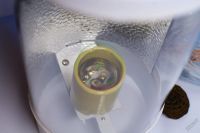 Лот: 5758578. Фото: 3. Култюб Култуб Култьюб Cooltube... Растения и животные