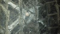 Лот: 13620977. Фото: 5. Шины Yokohama Geolandar A/T G015...