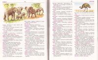 Лот: 13007090. Фото: 5. The Oxford children's dictionary...