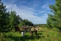 Лот: 4978618. Фото: 6. Участки у леса и реки в поселке...