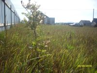 Лот: 8038741. Фото: 4. Участок 10 соток, "Два ручья". Красноярск