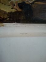 Лот: 21425328. Фото: 2. Плакат СССР. Девушка, собирающая... Антиквариат