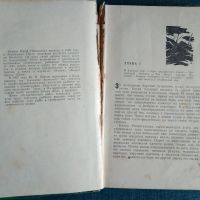 Лот: 24812479. Фото: 2. Юрий Иванов. Атлантический рейс... Детям и родителям