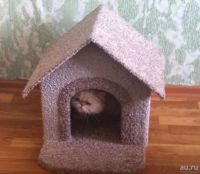 Лот: 9260383. Фото: 2. Домик для кошек. Состояние отличное... Животные и уход