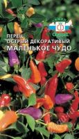 Лот: 979638. Фото: 2. Перец острый декоративный Маленькое... Комнатные растения и уход