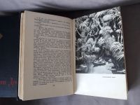 Лот: 15567955. Фото: 5. Конан Дойль. Собрание сочинений...