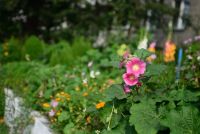 Лот: 4643983. Фото: 5. Nikon 35-70mm 2.8D