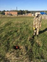 Лот: 9530347. Фото: 4. Услуги геодезиста, вынос границ... Красноярск